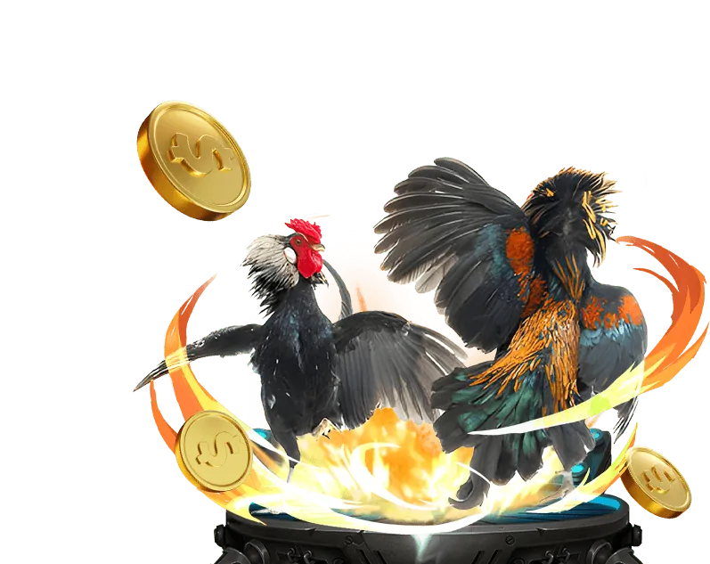 Kèo Wala trong đá gà